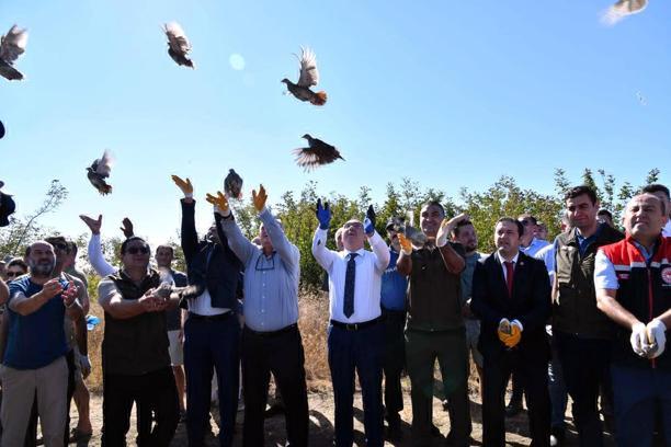 Tekirdağ'da 300 çil keklik doğaya salındı