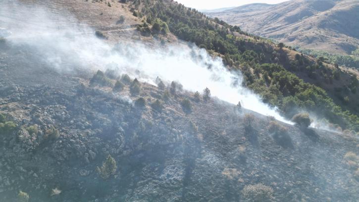 Sivas'taki orman yangını 2 saatte söndürüldü