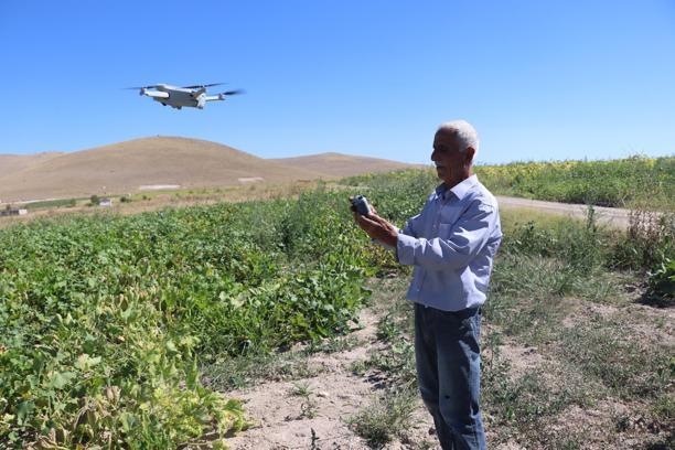 Tarım arazilerine zarar veren domuzlarla dronlu mücadele