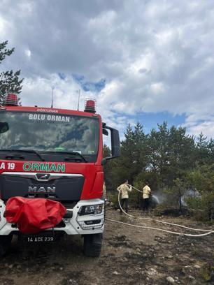 Bolu'da orman yangını 3 saatte kontrol altına alındı