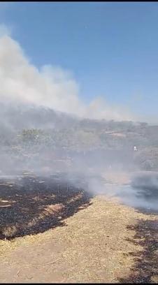 Elazığ'da örtü yangını 4 saatte söndürüldü