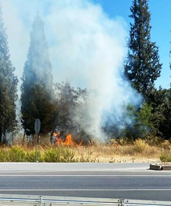 Yatağan'da çıkan orman yangını, büyümeden söndürüldü