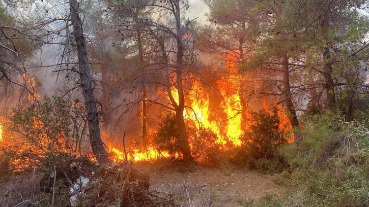 Çanakkale'de 4 hektarlık ormanın zarar gördüğü yangında 2 kişi gözaltına alındı