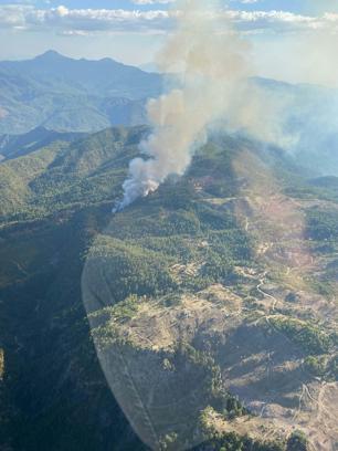 Muğla'da orman yangını