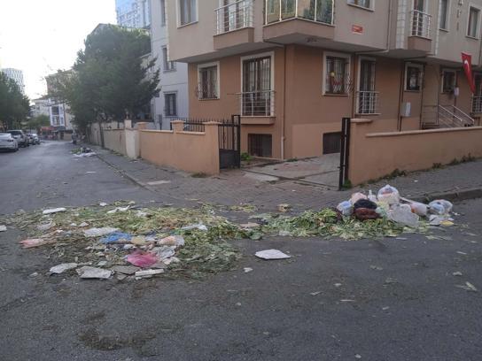 İstanbul-Kartal'da temizlik işçilerinin grev kararının ardından sokaklarda çöp yığınları oluştu