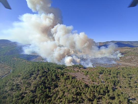 Bursa’nın 2 ilçesinde orman yangını