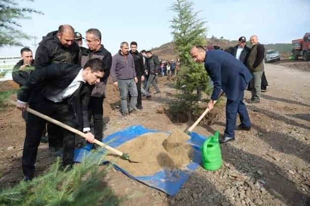 Orhaneli'de 300 fidan toprakla buluştu