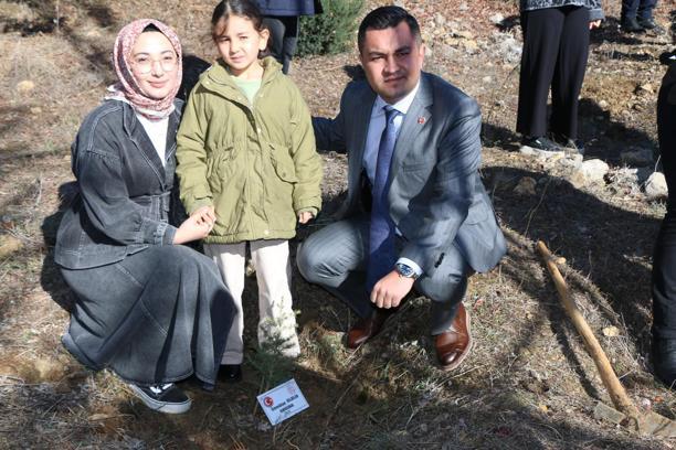 Üzerine kaya düşen otomobilde ölen 4 öğretmen için hatıra ormanı