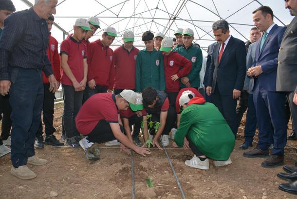 Silopi’de tropikal meyve fideleri dikildi