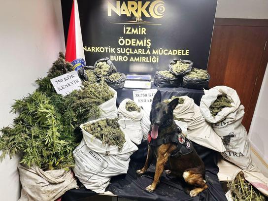 İzmir'de 38 kilo 750 gram esrar ele geçirildi