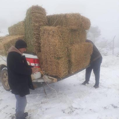 Kırşehir'de yaban hayvanları için doğaya yem bırakıldı