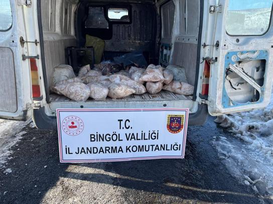 Bingöl'de 200 kilogram sakatat ele geçirildi