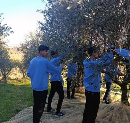 Zeytiniyle ünlü Derik’in tarım öğrencileri, stajlarını İtalya’da yapıyor