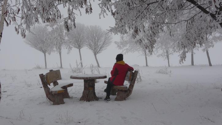 Bitlis'te ağaçlar kırağı tuttu