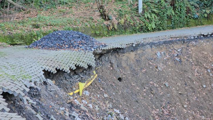 Zonguldak'ta heyelan: İstinat duvarı ve ağaçlar kaydı