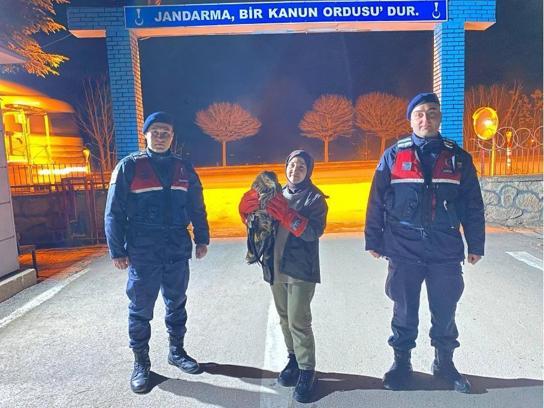 Eskişehir'de yaralı bulunan kızıl şahin tedaviye alındı