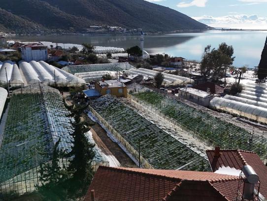 Şiddetli dolu ve yağmur, 200 dönüm seraya zarar verdi