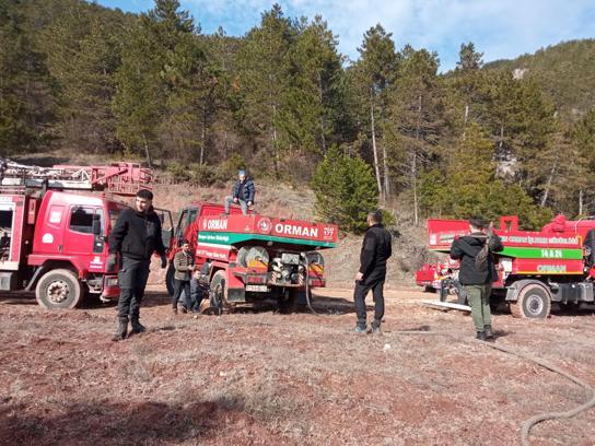 Ormanda çıkan örtü yangını söndürüldü