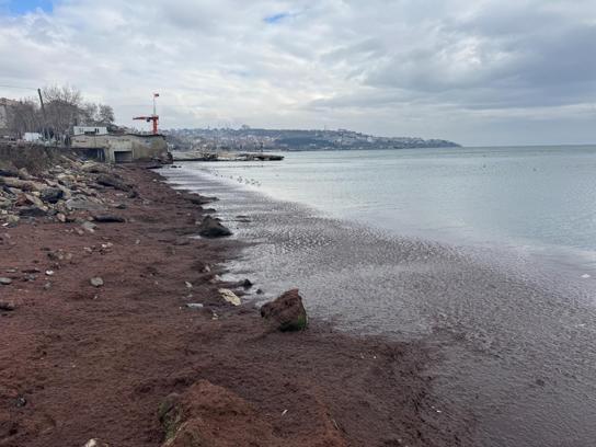 Tekirdağ sahili kırmızı yosunla kaplandı