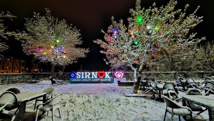 Şırnak’ta kar nedeniyle 19 köy yolu ulaşıma kapandı