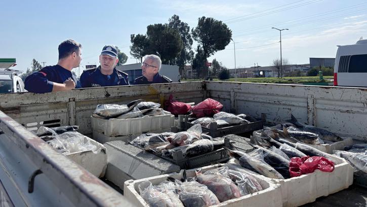 Tarsus’ ta sağlıksız koşullardaki 750 kilo balık ele geçirildi