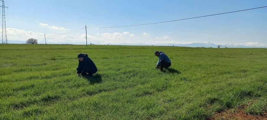 Beyşehir'den kısa kısa