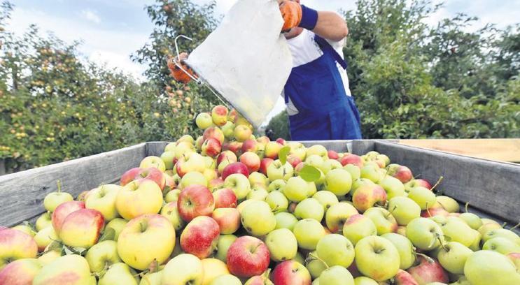 ‘Krize rağmen hedefi aştık’