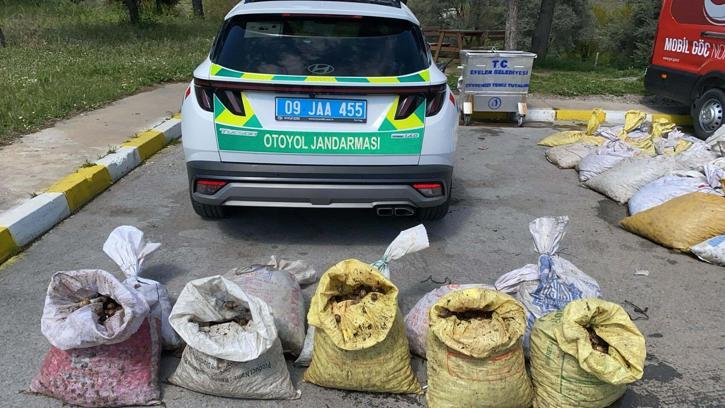 Aydın'da 1 ton 800 kilo salyangozla yakalanan şüpheliye 37 bin TL ceza