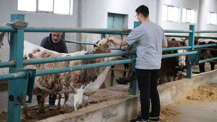 Taş duvar ahırda başlamıştı! Devlet desteğiyle modern tesis kurdu!