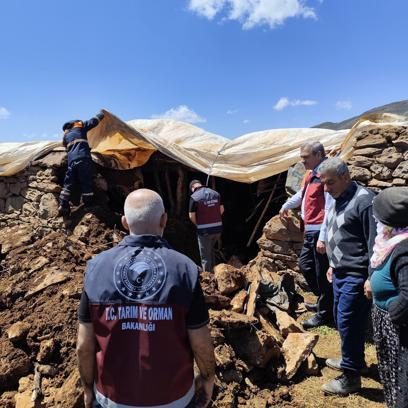 Bingöl'de ahırın tavanı çöktü; 1 inek öldü, 10'u kurtarıldı
