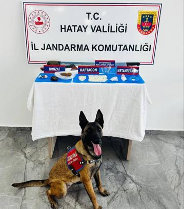 Kırıkhan'da Uyuşturucu Operasyonu: 1013 Hap Ele Geçirildi
