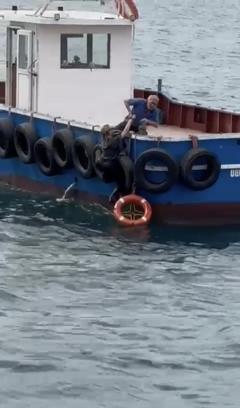 İstanbul - Kartal'da vapurdan denize düşen kadını balıkçılar kurtardı