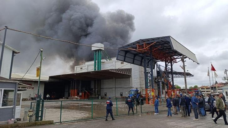 Sakarya'da Fındık Kırım Fabrikasında Yangın Çıktı