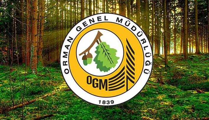OGM'DEN YENİ ALIM 📢 OGM 63 geçici işçi personel alımı ne zaman? OGM personel alımı başvuruları başladı mı, şartlar neler?