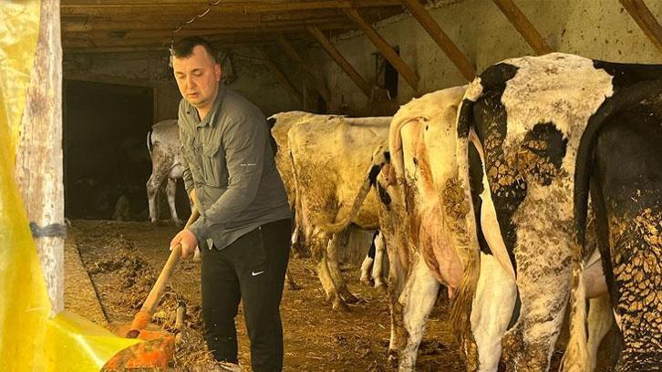 Devlet desteğiyle gelen başarı: 5 büyükbaş hayvanı 86'ya çıkardı