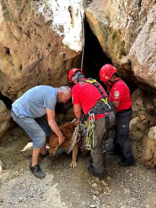 Fethiye’de dere yatağındaki sarp arazide mahsur kalan köpek ekiplerce kurtarıldı