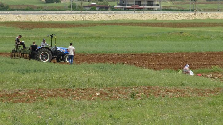 Gercüş'te Çiftçiler Erken Ekime Başladı