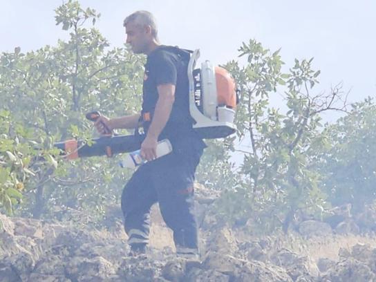 Nusaybin'de otluktaki yangın söndürüldü