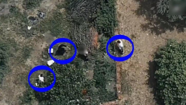 İznik'te 7,5 Yıl Hapis Cezası Olan Şahıs Dronla Yakalandı