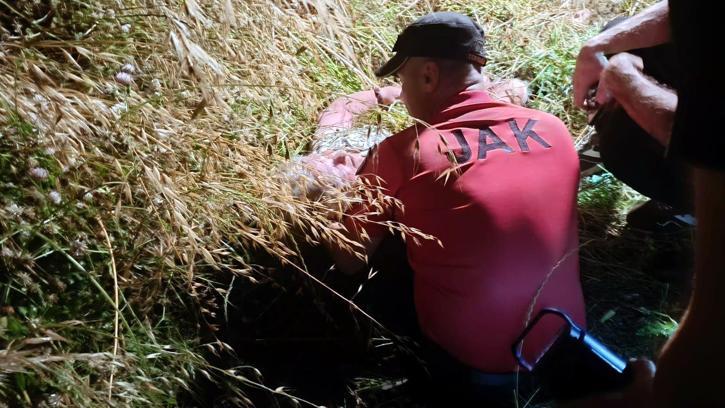 Manavgat'ta Kaybolan Kadın Çalıntılar Arasında Bulundu