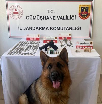 Gümüşhane'de 165 sikke ele geçirildi