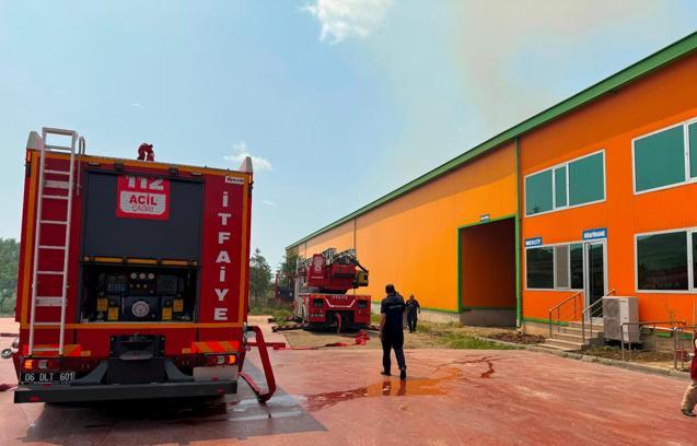 Ankara'da Yumurta Tesisinde Yangın: 150 Bin Tavuk Öldü
