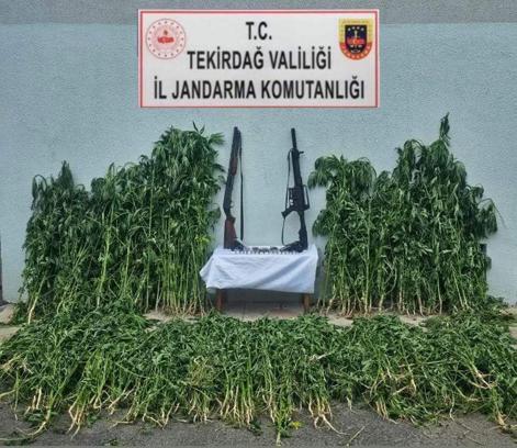 Tekirdağ'da uyuşturucu operasyonunda 3 gözaltı