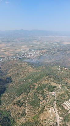 Aydın'da, tarım arazisindeki yangın 1,5 saatte söndürüldü