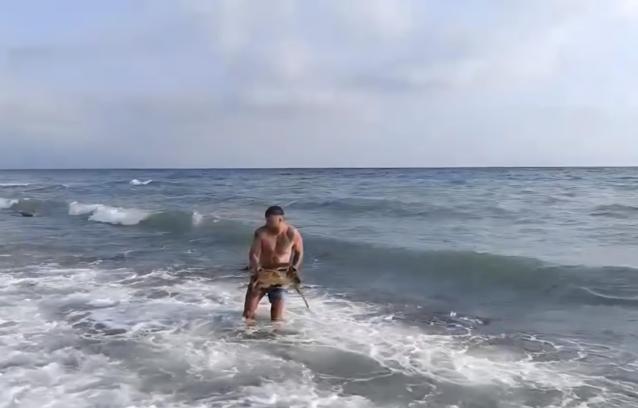 Doğa koruma ekipleri yaralı kaplumbağa için harekete geçti