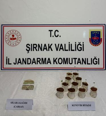 Şırnak'ta 1 Milyon 550 Bin TL'lik Kaçak Malzeme Ele Geçirildi