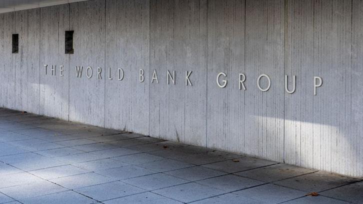 Türkiye ile Dünya Bankası'ndan orman yangınlarına yönelik işbirliği çalıştayı