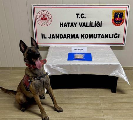 Hatay'da Uyuşturucu Operasyonları: 23 Şüpheli Yakalandı