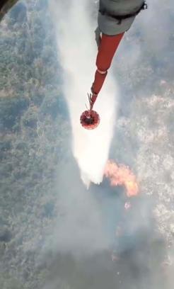 Balıkesir'de tarım arazisinden çıkıp, ormana sıçrayan yangın 2'nci gününde