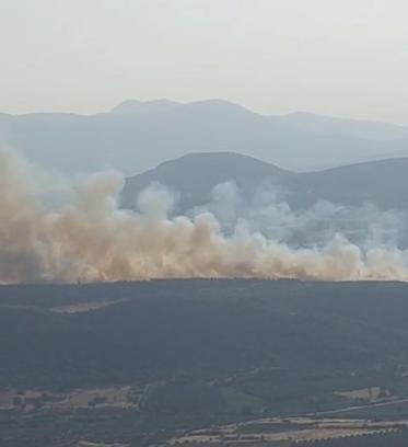Manisa'da orman yangını